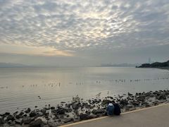 -深圳湾公园(南山区)