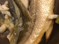 88小黄鱼-江仙雅居(苏州桥店)
