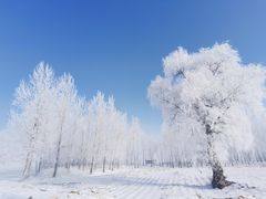 -雾凇岛