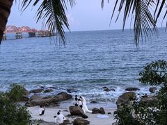-玫瑰海岸文化旅游度假区