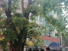 -峰景台亚姨牛杂