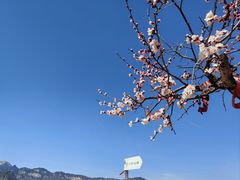 -北京密云天门山风景区