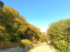 -北京西山国家森林公园