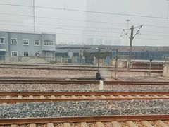 -石家庄站