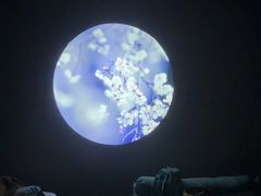 -上足·影院足道·SPA(红岭店)