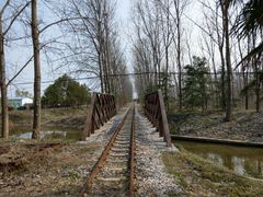 -合肥滨湖国家森林公园