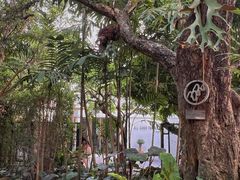 -Chom Cafe and Restaurant