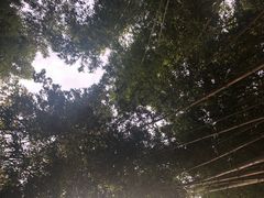 -包公祠