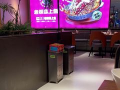 -老板恋上鱼(恒隆广场店)