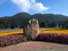 -广州市石门国家森林公园