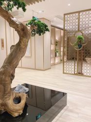 -HQ半永久纹绣纹眉