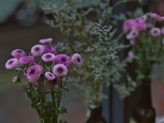 -WATER CAFE(广厦店)