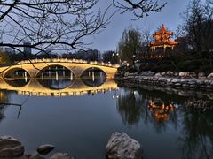 -大连植物园