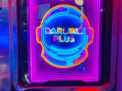 -Darling Queen·Mini·Live·House