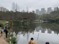 -重庆彩云湖湿地公园