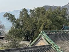 -窦大夫祠