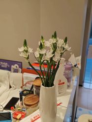 -兰瑜伽·普拉提