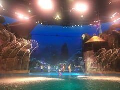 -芜湖新华联大白鲸海洋公园