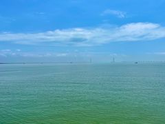 -大湾区中央湿地公园