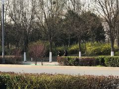 -保定东湖公园(莲池区)