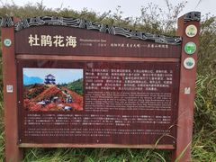 -大围山国家森林公园