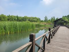 -溱湖国家湿地公园