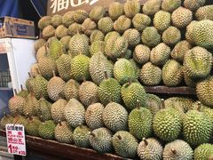 -芽笼