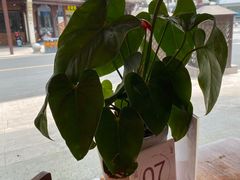 -印象江南(东栅店)