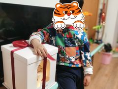 -咖咖熊蛋糕定制·英国蓝风车动物性淡奶油