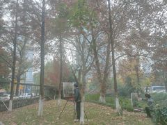 -中南·融创玖华台