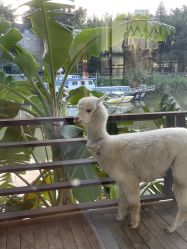 点击看大图 -花漾摄影优选工作室(东莞原创作品店)