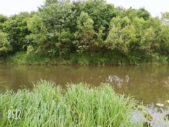 -新江湾城公园