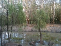 -溱湖国家湿地公园