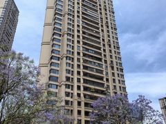 -重庆市江北嘴中央商务区中央公园