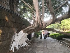 -胡里山炮台