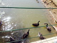 -长白岛森林公园