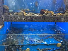 -鲜味食族水产·海鲜餐厅