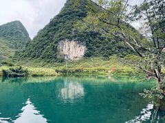 -靖西鹅泉风景区