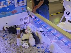 -大玩家(拱墅万达店)