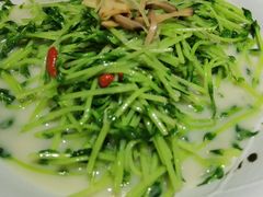 -石头咕(葵蓬店)