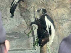 -武汉动物园