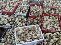 -易门野生菌府·菌海森林(月牙潭公园店)