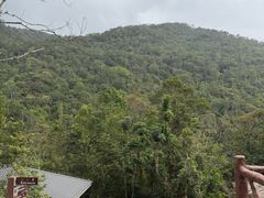 -海南热带雨林国家公园吊罗山景区