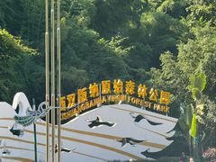 -西双版纳原始森林公园