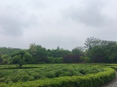 -洛阳市隋唐城遗址植物园
