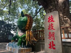 -安溪清水岩