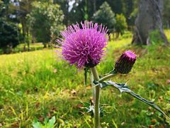 -福建鲤鱼洲酒店
