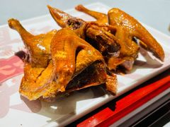 -东鸽皇(奥园·中环广场店)
