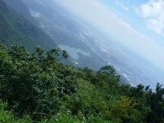-东莞市大岭山森林公园