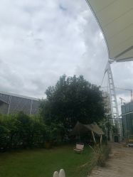 -WPlus明星肖像亲子全家福摄影